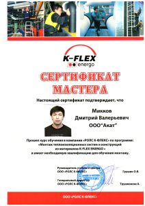 Сертификат мастера
